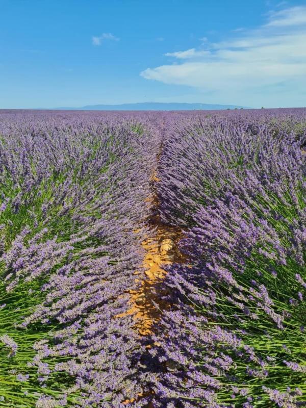 Escapades En Ventoux Villa เวอนาสก์ ภายนอก รูปภาพ